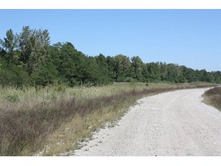 Property photo 43 - 419 +/- Acres offered in 6 Tracts, Land Auction